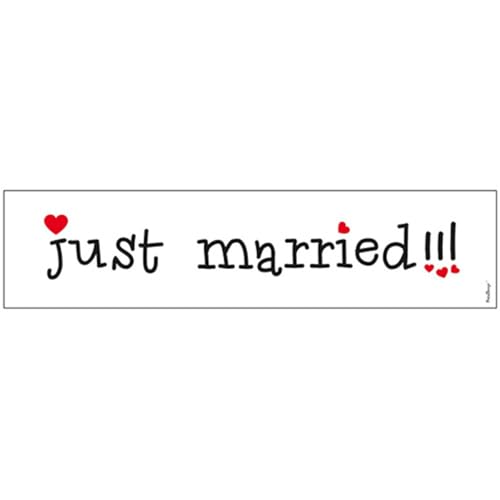 Just Married Nummernschild Karton Autoschild Deko Autoschmuck Hochzeit Hochzeitsauto Hochzeitsdeko von PartyDeco