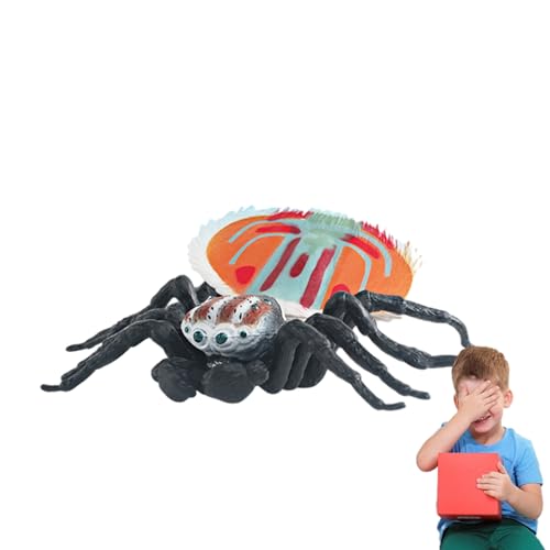 feveo Gefälschte Spinne - Spinnenspielzeug - Spinnenfiguren, Lernspielzeug für Jungen, Mädchen, Kinder, Spinnen-Actionmodell, realistische Tiere für Halloween-Partyzubehör im Innen- und Außenbereich von feveo