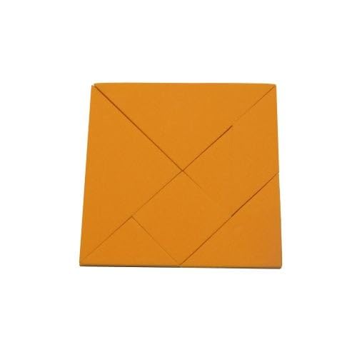 Orange Tangram Puzzle - Pädagogisches, Logikpuzzle und Mathematik-Spiel für Kinder und Erwachsene (10 Stück) von first4magnets