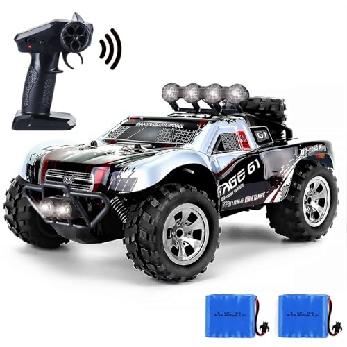 Fisca 4X4 RC Ferngesteuertes Off-Road-Spielzeugauto - Truck für Kinder und Erwachsene, Monster Truck Spielzeug Geschenk für Jungen und Mädchen (Silbrig) von fisca