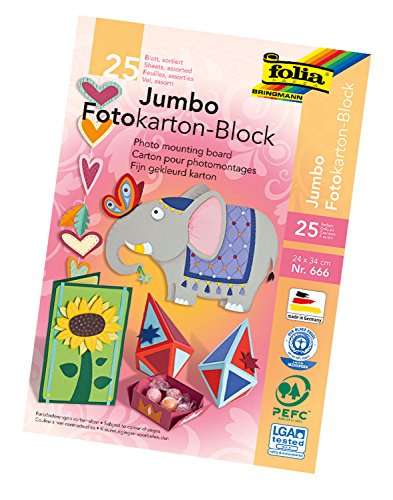 folia 666 - Fotokartonblock Jumbo, ca. 24 x 34 cm, 25 Blatt, farbig sortiert - die ideale Grundlage für vielfältige Bastelideen von folia