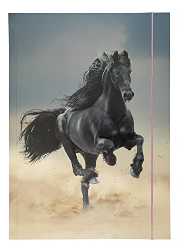 folia 69001 - Sammelmappe A3 Basic Black Horse, aus stabilem Karton mit Gummiband folia 69001 - Sammelmappe A3 Basic Black Horse, aus stabilem Karton mit Gummiband von folia