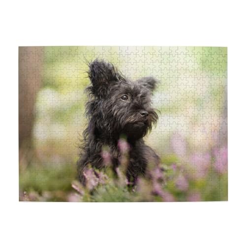 Affenpinscher Lawn Black Dogs Monkey Terrier, 500-teiliges Puzzle für Erwachsene – Holzpuzzle für Erwachsene und ältere Menschen von gawuoab