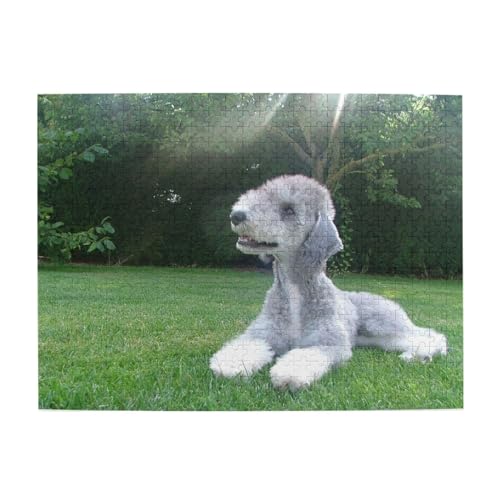 Bedlington Terrier, lustige Hunde, pelzige Hunde, Haustiere, 500-teiliges Puzzle für Erwachsene – Holzpuzzle für Erwachsene und ältere Menschen von gawuoab