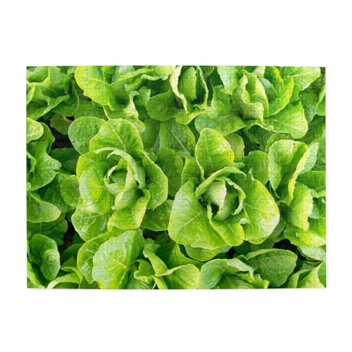 Frischer Römersalat, 500-teiliges Puzzle für Erwachsene – Holzpuzzle für Erwachsene und ältere Menschen Frischer Römersalat, 500-teiliges Puzzle für Erwachsene – Holzpuzzle für Erwachsene und ältere Menschen von gawuoab
