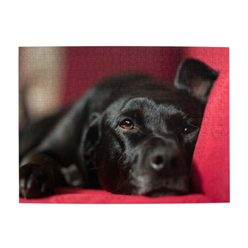 Schwarze Labrador Retriever-Haustiere, Bokeh, Schwarze Hunde, 500-teiliges Puzzle für Erwachsene – Holzpuzzle für Erwachsene und ältere Menschen von gawuoab