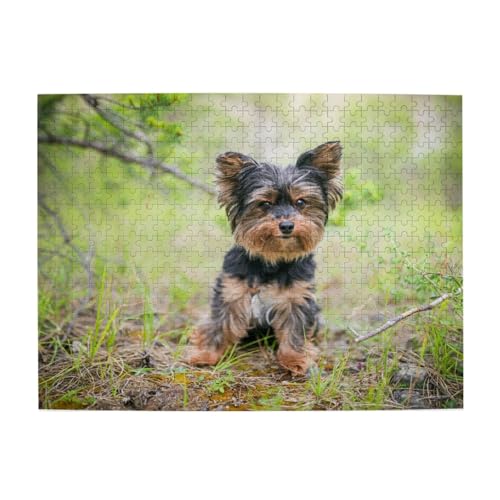 Yorkshire Terrier, kleine Welpen, Haustiere, Hunde, 500-teiliges Puzzle für Erwachsene – Holzpuzzle für Erwachsene und ältere Menschen Yorkshire Terrier, kleine Welpen, Haustiere, Hunde, 500-teiliges Puzzle für Erwachsene – Holzpuzzle für Erwachsene und ältere Menschen von gawuoab