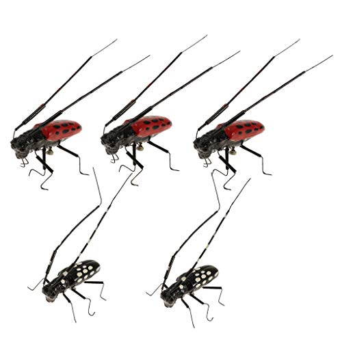 Realistische Tier Insekten Kühlschrankmagnet Garten Dekor Set, 5pcs - Insektenfiguren aus Ton für Kinderlernen und Deko- Longicorn Realistische Tier Insekten Kühlschrankmagnet Garten Dekor Set, 5pcs - Insektenfiguren aus Ton für Kinderlernen und Deko- Longicorn von getuse