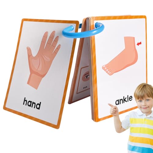 Body Flash Card | Frühes Bildungsspielzeug - alte Mädchen | Karten Alphabet, Formen & Farben, Spiele, Vorschullernaktivitäten für 1, 2, 3, 4 Jahre von gifyym