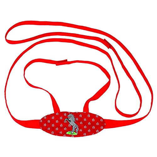 Toys Pure 63951 - Pferdeleine mit Bestickung, Rot von goki