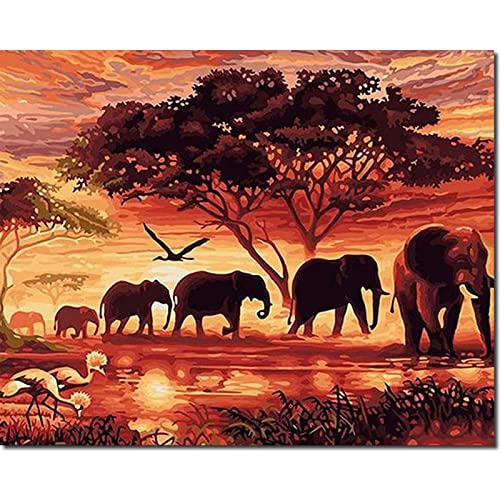 Fuumuui Malen Nach Zahlen Erwachsene und Kinder Anfänger Gemälde inklusive Pinsel und Acrylfarben 40 x 50 cm - Landschaft, Elefanten bei Sonnenuntergang von Fuumuui