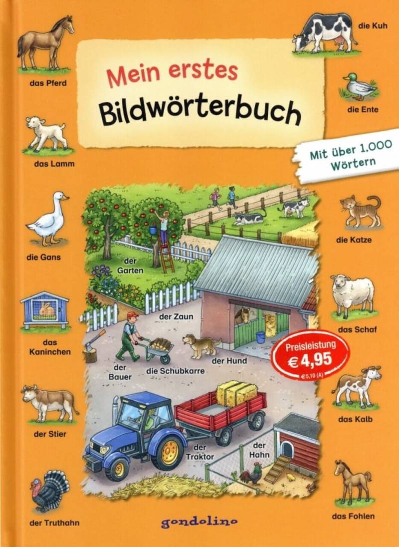 Kinderbuch Mein erstes Bildwörterbuch von gondolino