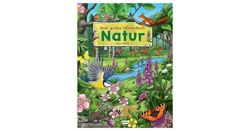 Buch - Mein großes Wimmelbuch Natur von h.f.ullmann Verlag