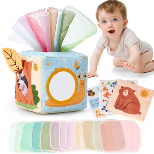 hahaland Baby Spielzeug 6 Monate Tissue Box Toy Montessori Spielzeug Baby 6-12 Sensorik Bauchlage Kontrastreiche Spielzeug für Babys Geschenke von hahaland