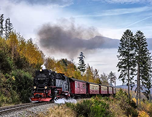 HANSEPUZZLE 100884 - Dampflokomotive Puzzle 1000 Teile | Fortbewegung Mit Hochwertiger Aufbewahrung: Kartonbox Und Wieder Verschließbarem Beutel | Maße: 60 x 46 cm von hansepuzzle