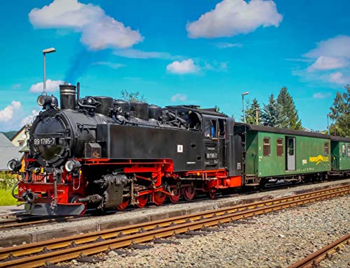 HANSEPUZZLE 108334 - Lokomotive Puzzle 1000 Teile | Fortbewegung Puzzle mit hochwertiger Puzzle Aufbewahrung: Kartonbox und Wieder verschließbarem Beutel | Puzzle-Maße: 60 x 46 cm von hansepuzzle