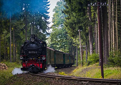 HANSEPUZZLE 108339 - Lokomotive Puzzle 130 Teile | Fortbewegung Puzzle mit hochwertiger Puzzle Aufbewahrung: Kartonbox und wiederverschließbarem Beutel | Puzzle-Maße: 28,7 x 20 cm von hansepuzzle