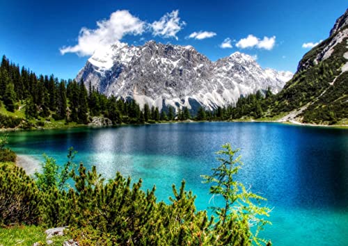 HANSEPUZZLE 103953 - See im Gebirge Puzzle 260 Teile | Natur Puzzle mit hochwertiger Puzzle Aufbewahrung: Kartonbox und wiederverschließbarem Beutel | Puzzle-Maße: 41 x 28,7 cm von hansepuzzle