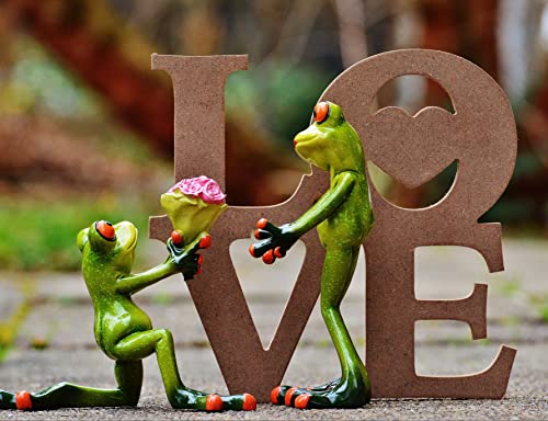 HANSEPUZZLE 16474 - Liebes-Frosch Puzzle 1000 Teile | Gefühle Puzzle mit hochwertiger Puzzle Aufbewahrung: Kartonbox und Wieder verschließbarem Beutel | Puzzle-Maße: 60 x 46 cm HANSEPUZZLE 16474 - Liebes-Frosch Puzzle 1000 Teile | Gefühle Puzzle mit hochwertiger Puzzle Aufbewahrung: Kartonbox und Wieder verschließbarem Beutel | Puzzle-Maße: 60 x 46 cm von hansepuzzle