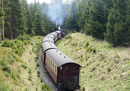hansepuzzle 17674 - Brocken-Bahn Puzzle 130 Teile | Natur Puzzle mit hochwertiger Puzzle Aufbewahrung: Kartonbox und wiederverschließbarem Beutel | Puzzle-Maße: 28,7 x 20 cm hansepuzzle 17674 - Brocken-Bahn Puzzle 130 Teile | Natur Puzzle mit hochwertiger Puzzle Aufbewahrung: Kartonbox und wiederverschließbarem Beutel | Puzzle-Maße: 28,7 x 20 cm von hansepuzzle