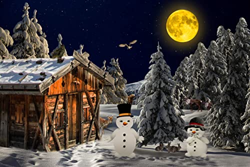 hansepuzzle 30814 - Winterlandschaft Puzzle 2000 Teile | Natur Puzzle mit hochwertiger Puzzle Aufbewahrung: Kartonbox und Wieder verschließbarem Beutel | Puzzle-Maße: 90 x 60 cm von hansepuzzle