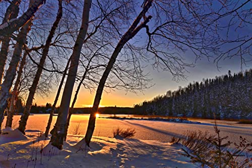 hansepuzzle 31900 - Winterlandschaft Puzzle 2000 Teile | Natur Puzzle mit hochwertiger Puzzle Aufbewahrung: Kartonbox und Wieder verschließbarem Beutel | Puzzle-Maße: 90 x 60 cm hansepuzzle 31900 - Winterlandschaft Puzzle 2000 Teile | Natur Puzzle mit hochwertiger Puzzle Aufbewahrung: Kartonbox und Wieder verschließbarem Beutel | Puzzle-Maße: 90 x 60 cm von hansepuzzle