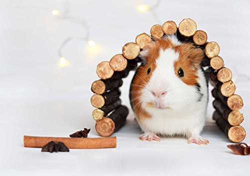 hansepuzzle 42571 - Meerschweinchen Puzzle 130 Teile | Gefühle Puzzle mit hochwertiger Puzzle Aufbewahrung: Kartonbox und wiederverschließbarem Beutel | Puzzle-Maße: 28,7 x 20 cm von hansepuzzle