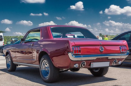 hansepuzzle 46074 - Mustang Puzzle 500 Teile | Fortbewegung Puzzle mit hochwertiger Puzzle Aufbewahrung: Kartonbox und wiederverschließbarem Beutel | Puzzle-Maße: 46 x 30 cm hansepuzzle 46074 - Mustang Puzzle 500 Teile | Fortbewegung Puzzle mit hochwertiger Puzzle Aufbewahrung: Kartonbox und wiederverschließbarem Beutel | Puzzle-Maße: 46 x 30 cm von hansepuzzle