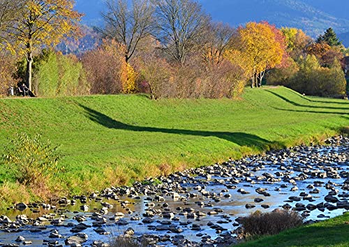 hansepuzzle 46604 - Schwarzwald Puzzle 260 Teile | Natur Puzzle mit hochwertiger Puzzle Aufbewahrung: Kartonbox und wiederverschließbarem Beutel | Puzzle-Maße: 41 x 28,7 cm hansepuzzle 46604 - Schwarzwald Puzzle 260 Teile | Natur Puzzle mit hochwertiger Puzzle Aufbewahrung: Kartonbox und wiederverschließbarem Beutel | Puzzle-Maße: 41 x 28,7 cm von hansepuzzle