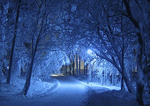 hansepuzzle 50536 - Winter Puzzle 130 Teile | Natur Puzzle mit hochwertiger Puzzle Aufbewahrung: Kartonbox und wiederverschließbarem Beutel | Puzzle-Maße: 28,7 x 20 cm von hansepuzzle