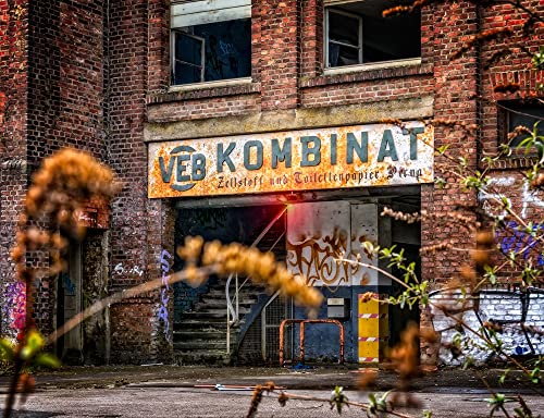 hansepuzzle 50795 - Lost Places Puzzle 1000 Teile | Industrie Puzzle mit hochwertiger Puzzle Aufbewahrung: Kartonbox und Wieder verschließbarem Beutel | Puzzle-Maße: 60 x 46 cm von hansepuzzle