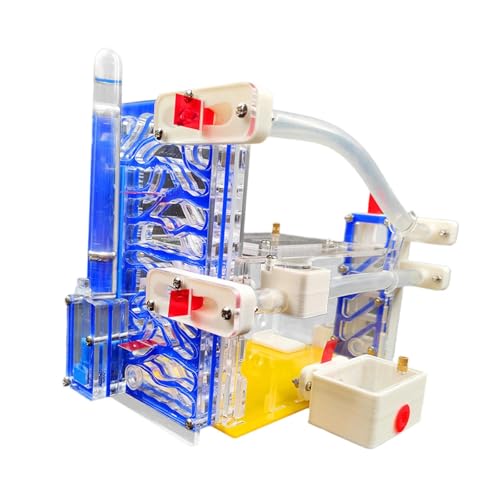 harayaa 3D Acryl DIY Farm Habitat Wissenschaft Lernen Kit für Home School House Betrachtung von harayaa