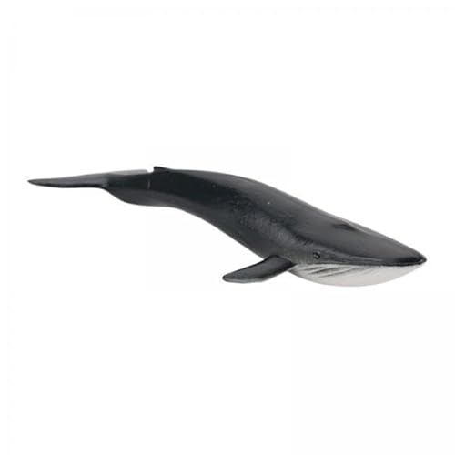 harayaa 4X Wal Figur, Frühe Bildungsspielzeug, Sammlung von Miniatur Tierspielzeug, Realistische Tierfigur für Geburtstagsgeschenk harayaa 4X Wal Figur, Frühe Bildungsspielzeug, Sammlung von Miniatur Tierspielzeug, Realistische Tierfigur für Geburtstagsgeschenk von harayaa