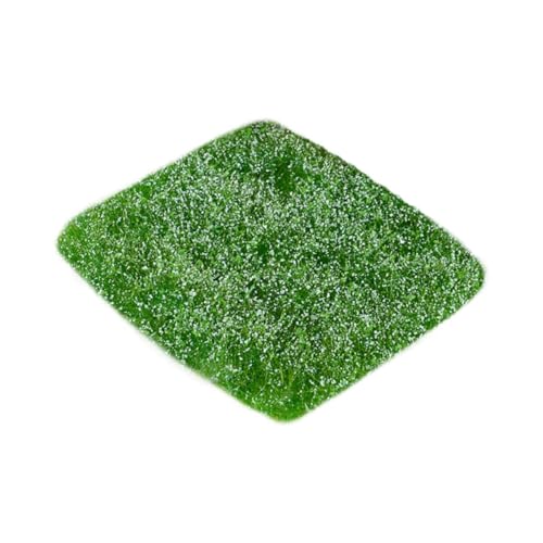 harayaa Miniatur -Gelände statische Grasbüschel buschige Model Grasverzierung für Feengarten, Blau harayaa Miniatur -Gelände statische Grasbüschel buschige Model Grasverzierung für Feengarten, Blau von harayaa