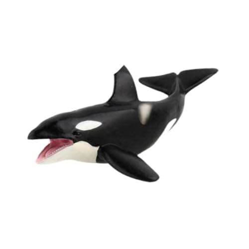 harayaa Realistische Wale -Figuren Model Marine Lebensmodell, Simulation, Tierfigur für Kinder harayaa Realistische Wale -Figuren Model Marine Lebensmodell, Simulation, Tierfigur für Kinder von harayaa