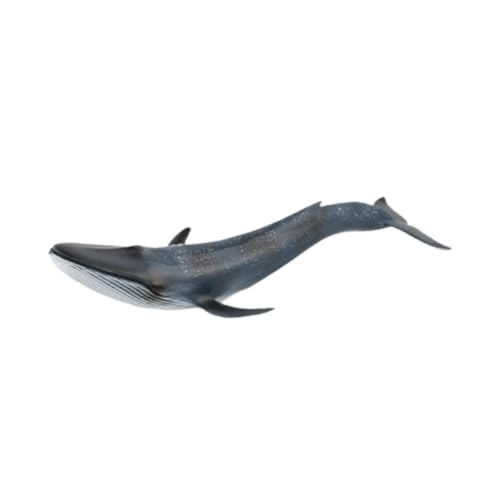 harayaa Realistische Wale -Figuren Model Marine Lebensmodell, Simulation, Tierfigur für Kinder harayaa Realistische Wale -Figuren Model Marine Lebensmodell, Simulation, Tierfigur für Kinder von harayaa