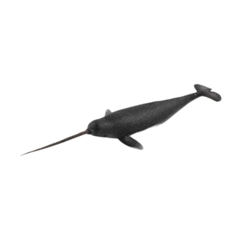 harayaa Realistische Wale -Figuren Model Marine Lebensmodell, Simulation, Tierfigur für Kinder harayaa Realistische Wale -Figuren Model Marine Lebensmodell, Simulation, Tierfigur für Kinder von harayaa