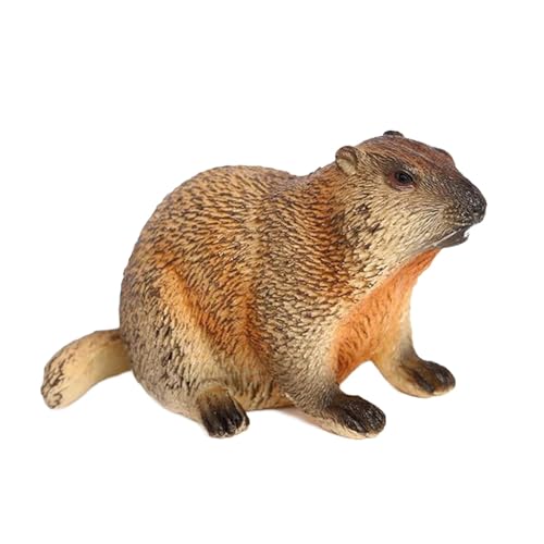 harayaa Simulation Tier Modell Murmeltier Spielzeug Figur Ornament für Geburtstag Geschenke Heimgebrauch, Stil c harayaa Simulation Tier Modell Murmeltier Spielzeug Figur Ornament für Geburtstag Geschenke Heimgebrauch, Stil c von harayaa