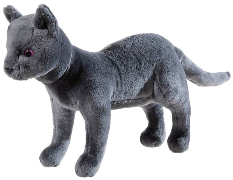 Schule der Magischen Tiere - Karajan, die Katze, 30cm von heunec