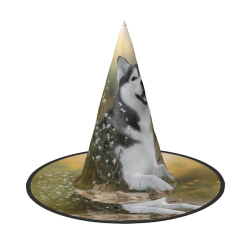 2 Stück Halloween-Hut – Hexe, niedlicher Husky-Hund, Kostüm, Party, Damen und Herren, spitze Hornkappe, Licht für festliche Ostern von hhxvcv