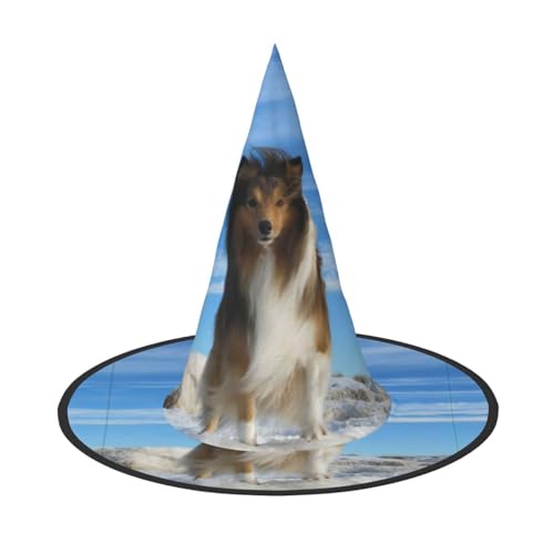 3 Stück Halloween-Hut – Hexe, niedlicher Shetland-Hund, Kostüm, Party, Damen und Herren, spitze Hornkappe, Licht für festliche Ostern 3 Stück Halloween-Hut – Hexe, niedlicher Shetland-Hund, Kostüm, Party, Damen und Herren, spitze Hornkappe, Licht für festliche Ostern von hhxvcv
