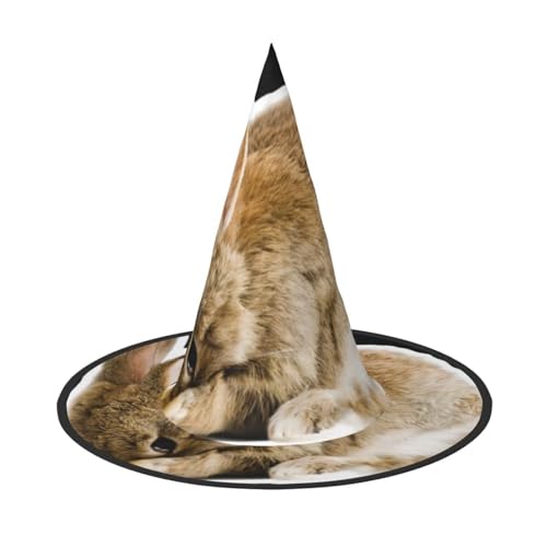 3 Stück Halloween-Hut – Hexenschrei, Kaninchen, Kostüm, Party, Damen und Herren, spitze Hornkappe, Licht für festliche Ostern 3 Stück Halloween-Hut – Hexenschrei, Kaninchen, Kostüm, Party, Damen und Herren, spitze Hornkappe, Licht für festliche Ostern von hhxvcv
