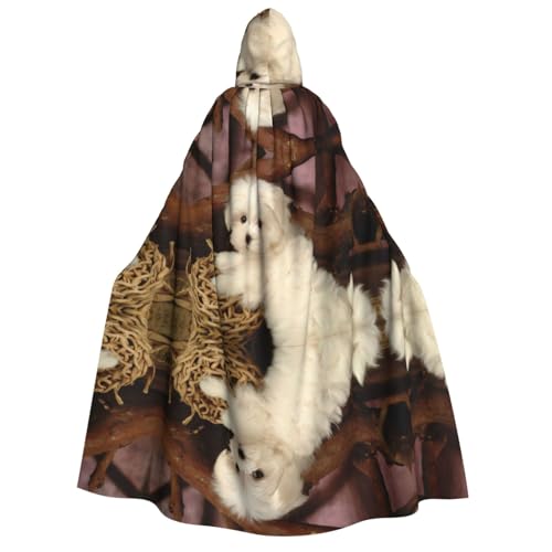Französischer Pudel-Druck, Halloween-Kapuzenumhang, Kostüm, Umhang für Party, Karneval, Comic-Ausstellung, Maskerade – Unisex für Erwachsene Französischer Pudel-Druck, Halloween-Kapuzenumhang, Kostüm, Umhang für Party, Karneval, Comic-Ausstellung, Maskerade – Unisex für Erwachsene von hhxvcv