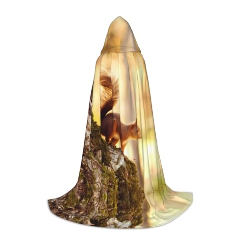 L Halloween Kapuzen Umhang - Unisex Erwachsene Lustig Eichhörnchen Druck Kostüm Umhang - Perfekt für Cosplay, Party, Karneval L Halloween Kapuzen Umhang - Unisex Erwachsene Lustig Eichhörnchen Druck Kostüm Umhang - Perfekt für Cosplay, Party, Karneval von hhxvcv