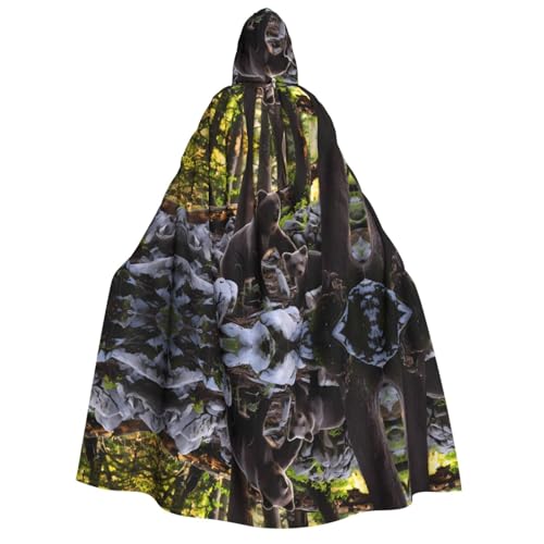 Rge und kleine schwarze Bären, bedruckt, Halloween-Kapuzenumhang, Kostüm, Umhang für Party, Karneval, Comic-Ausstellung, Maskerade – Unisex für Erwachsene Rge und kleine schwarze Bären, bedruckt, Halloween-Kapuzenumhang, Kostüm, Umhang für Party, Karneval, Comic-Ausstellung, Maskerade – Unisex für Erwachsene von hhxvcv