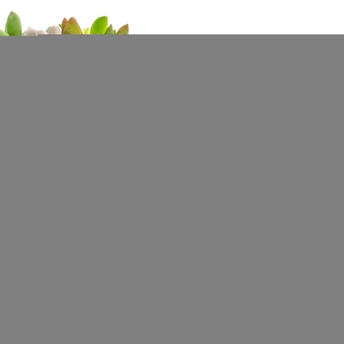 3D-gedrucktes Spinnen-Fidget, 3D-gedruckte Gelenkspinne,3D-gedruckte Spinnenspielzeuge mit beweglichen Gelenken - Schreibtischspielzeug zum Stressabbau, Schreibtischspielzeug für Erwachsene, von higyee