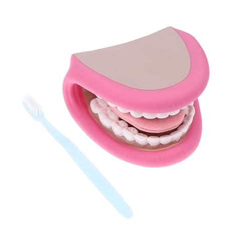 1 Pc Mund Puppe mit Zungen zähne Mund 28 Zähne Silikon Mund Hand Puppe Zahnpuppe Modell Mund Hand Puppe mit Zunge für Kinder für Jungen Mädchen Pädagogische Werkzeuge Sprach Therapie von hiwhale