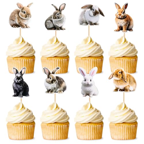 iMagitek 48 Stück Kaninchen-Cupcake-Aufsätze, Häschen, Cupcake-Picks, Osterhasen, Kuchendekoration für Ostern, Babyparty, Geburtstag iMagitek 48 Stück Kaninchen-Cupcake-Aufsätze, Häschen, Cupcake-Picks, Osterhasen, Kuchendekoration für Ostern, Babyparty, Geburtstag von iMagitek