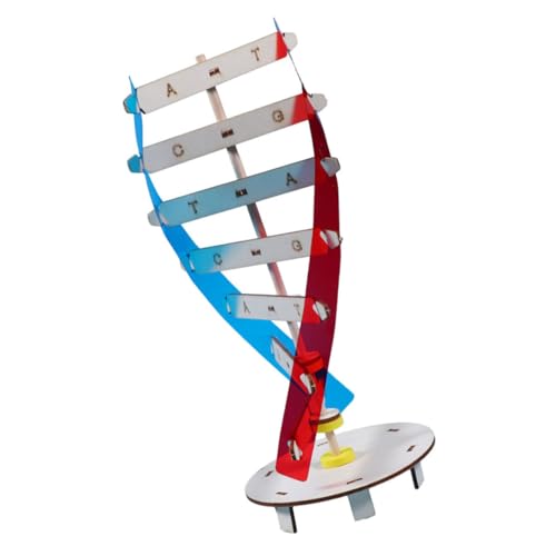 ibasenice 1 Satz Genmodell lernspielzeug Science Toys Naturwissenschaftliches - Doppelhelix Bildungs-DNA-Modell Lernhilfen für menschliche DNA Holz Colorful von ibasenice