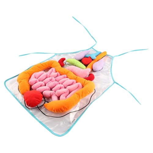 ibasenice 1 Satz Menschliche Eingeweide Schürze Dreidimensionale Schürze Stangen Artefakt Menschliche Anatomie Für Kinderspielzeug Brief Nachtlicht Handgemachtes Klebeband Abs Plastik ibasenice 1 Satz Menschliche Eingeweide Schürze Dreidimensionale Schürze Stangen Artefakt Menschliche Anatomie Für Kinderspielzeug Brief Nachtlicht Handgemachtes Klebeband Abs Plastik von ibasenice